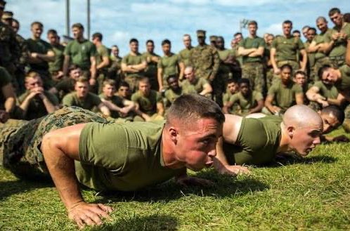 Kim Wexler’s Ponytail tweet media