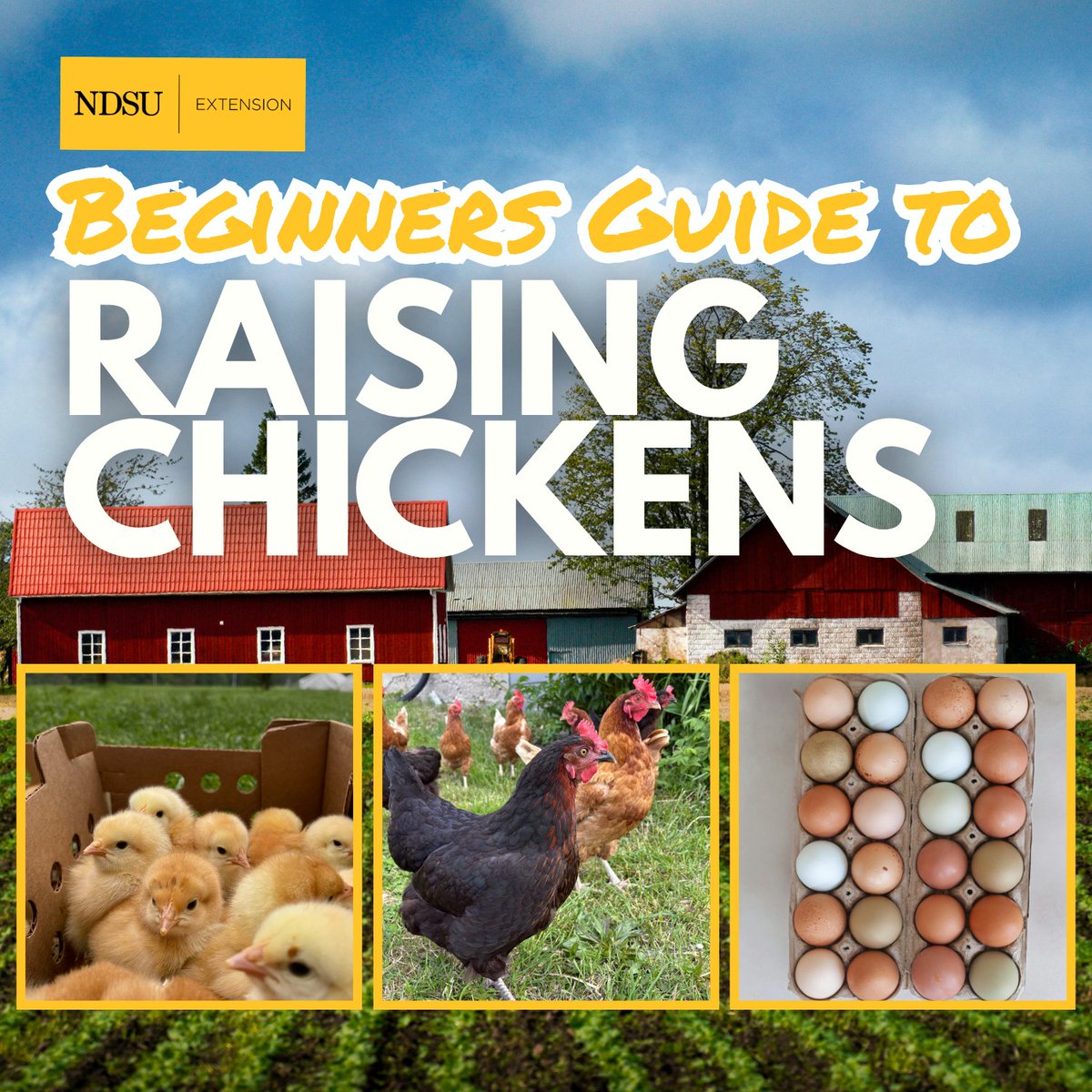 NDSU Extension-Food tweet media