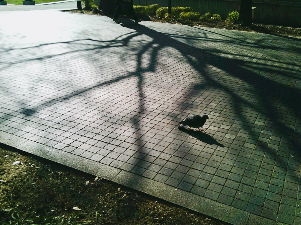 3280Kee's tweet photo. #Photography https://t.co/yvBAkLA66H