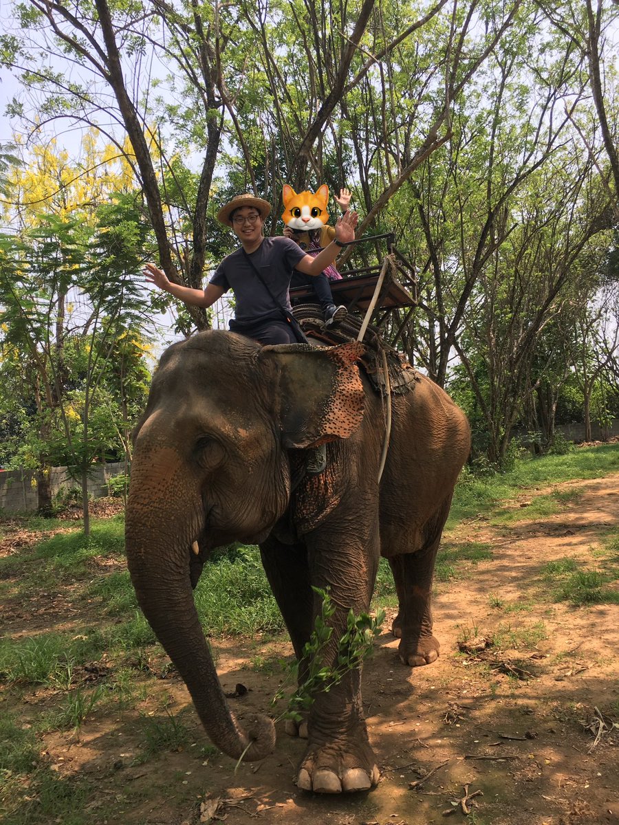 菊池駿一@まるもり tweet media