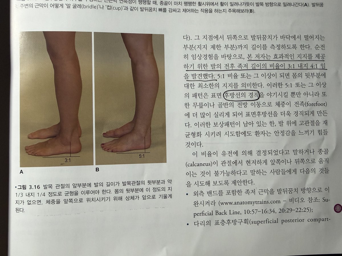 루틴의사나이 tweet media