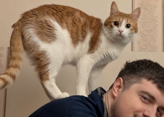 Anton Muraveinyk 🇺🇦 tweet media