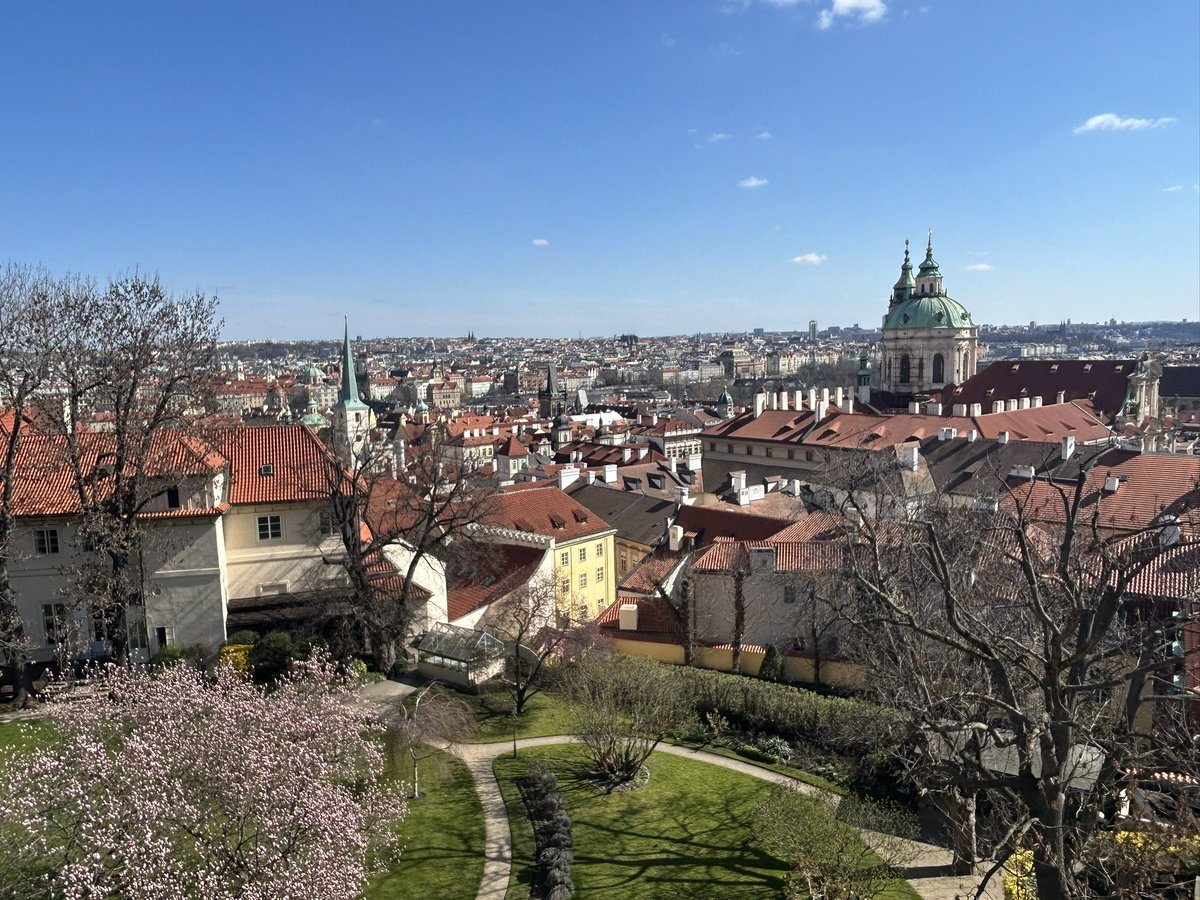 Chris Shepherd tweet media