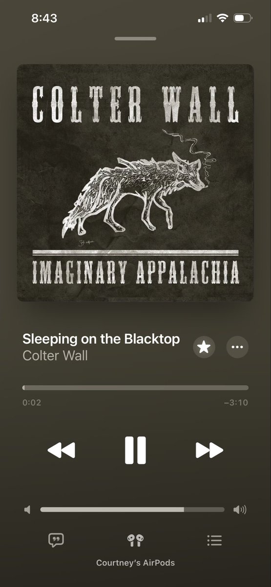 ✨Court✨ tweet media