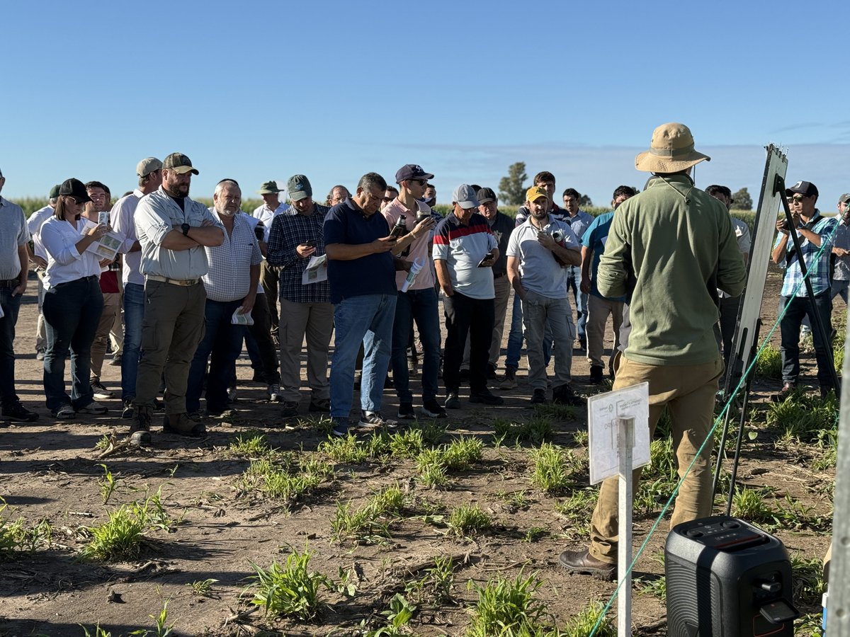 Aapresid tweet media