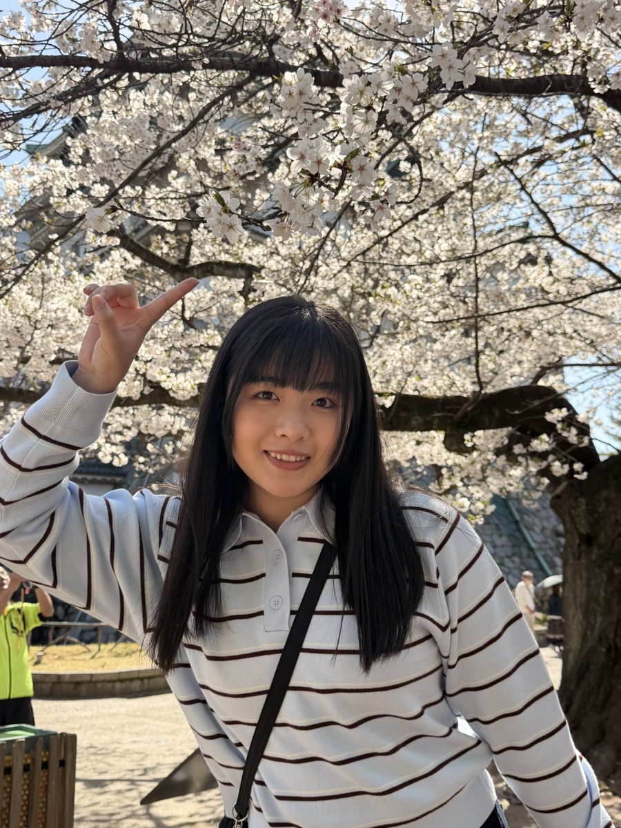 西呱三明治 tweet media