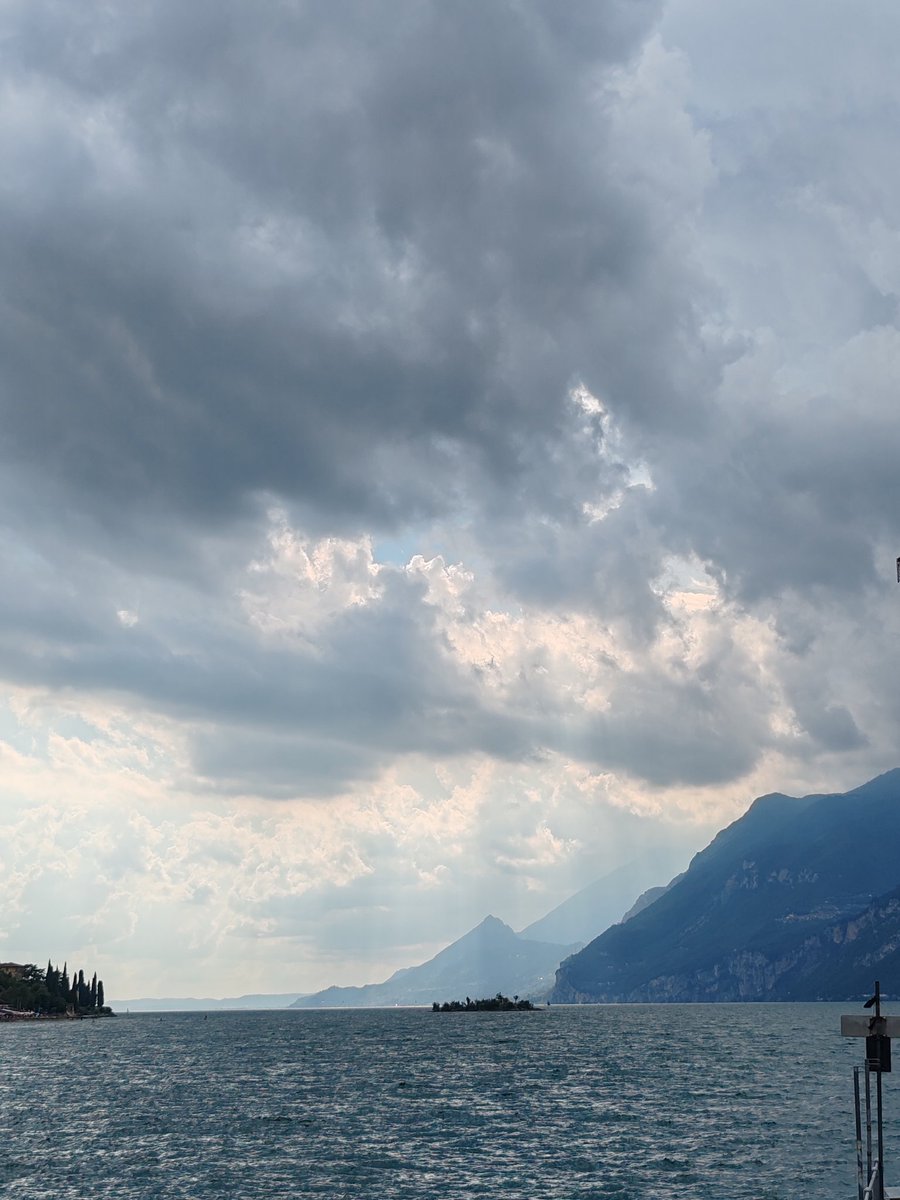 FlipTheTrueVIP tweet media