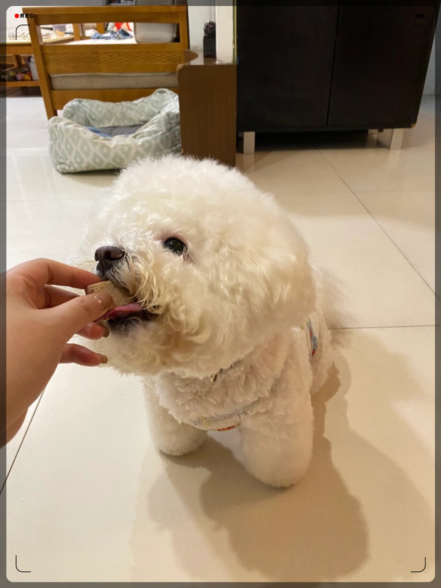 ewa bułacz tweet media