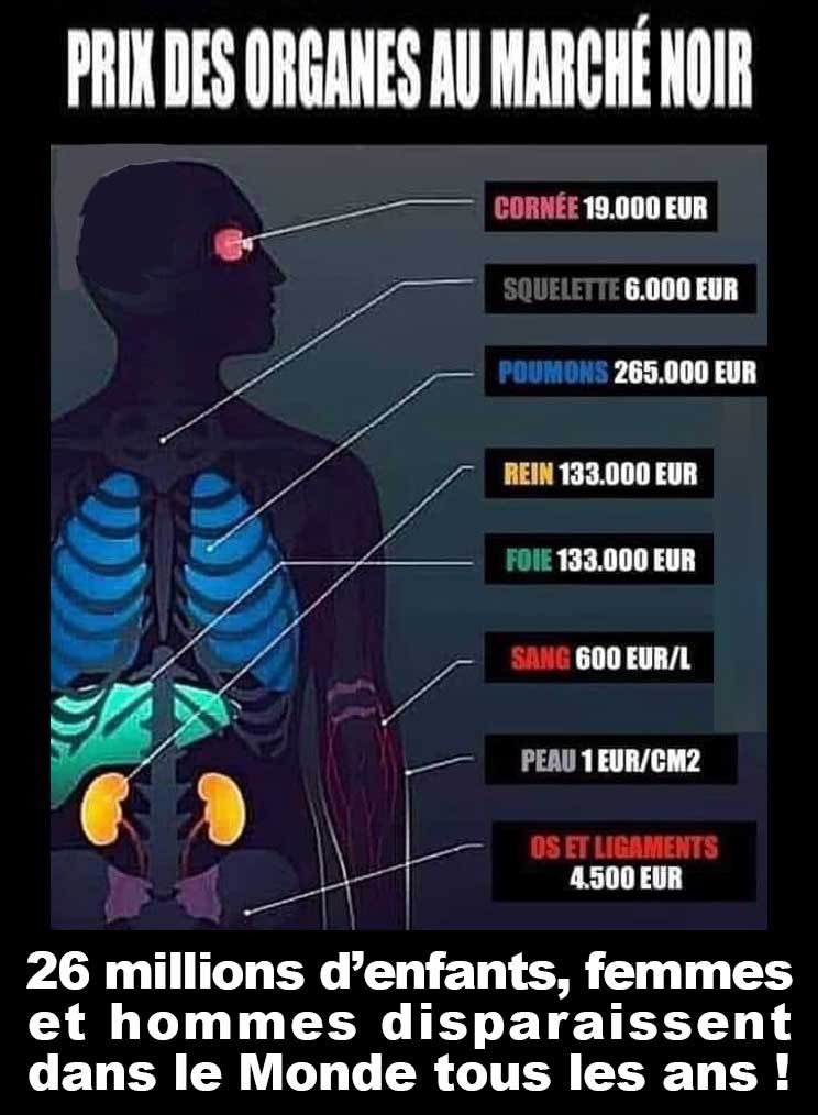 ✨Megann✨🇫🇷 tweet media