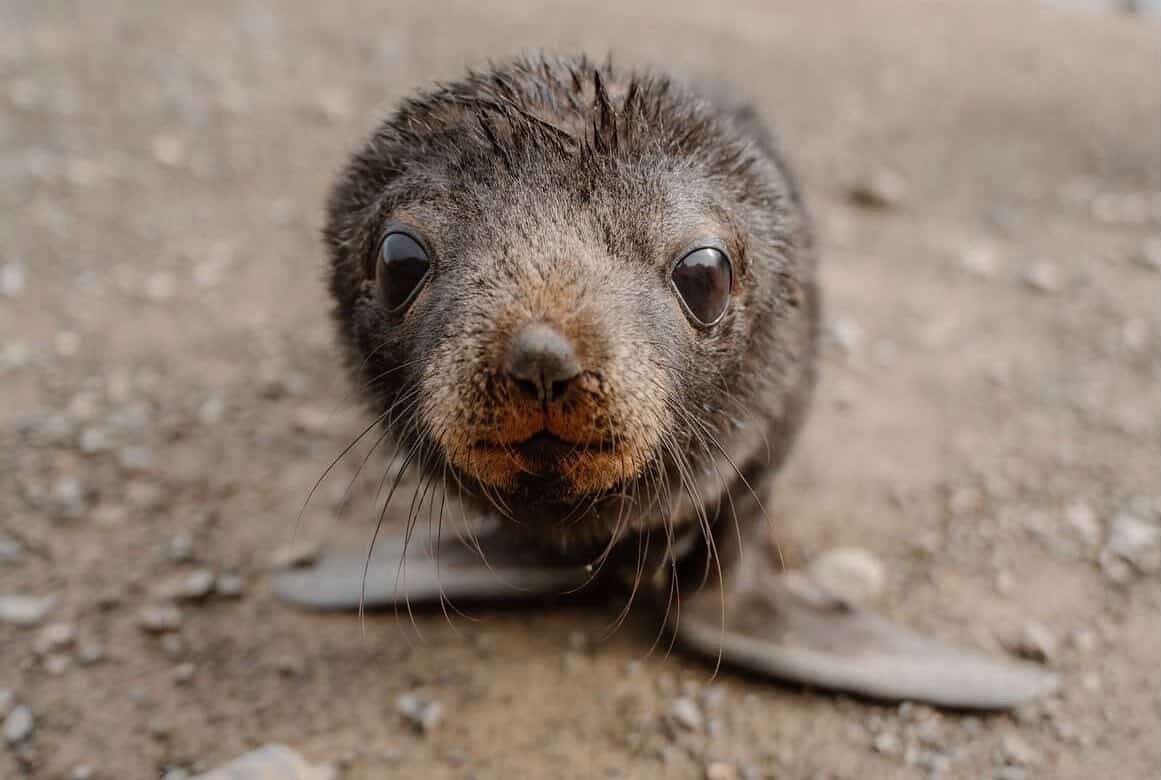 rowan !! tweet media