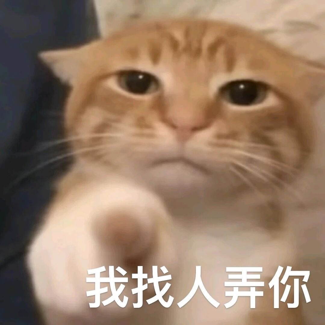 菠萝包 tweet media