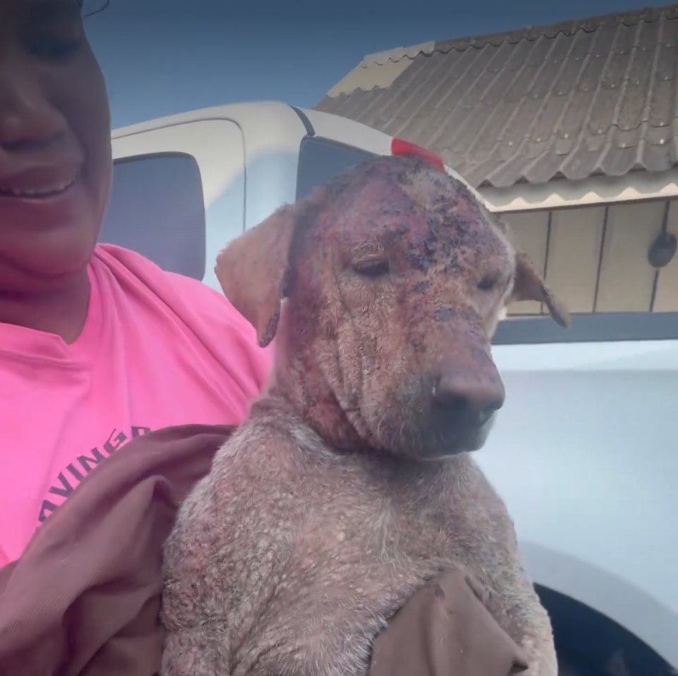 Lucy Fell 📚🎬🚀 tweet media