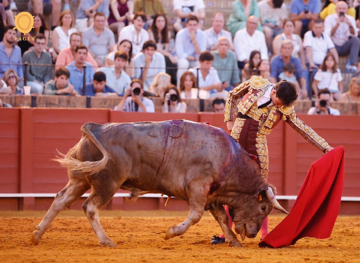 Rafael Manrique Sañudo tweet media