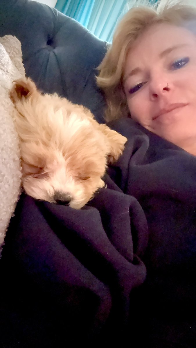 Daphna Kuhr tweet media