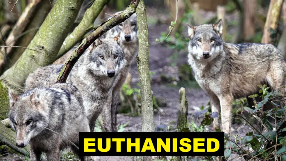 PROTECT ALL WILDLIFE tweet media