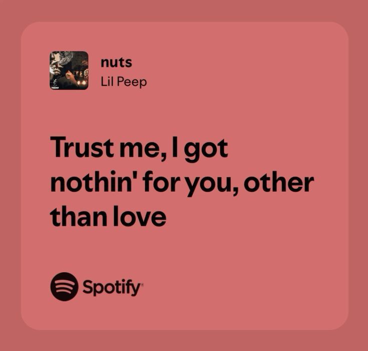 bree ☘︎ tweet media