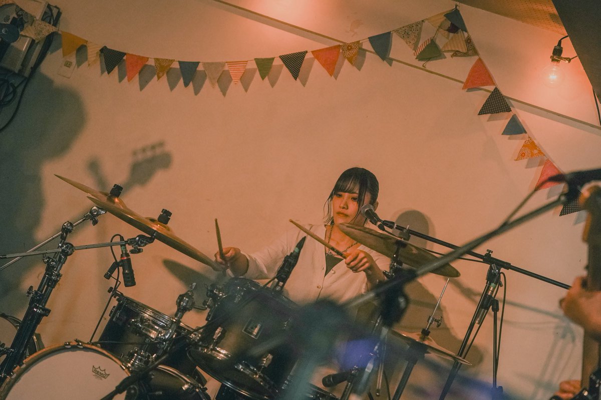 さかな日記 tweet media