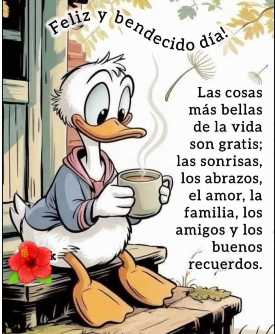 Ariel Ignacio Meneses Morales tweet media