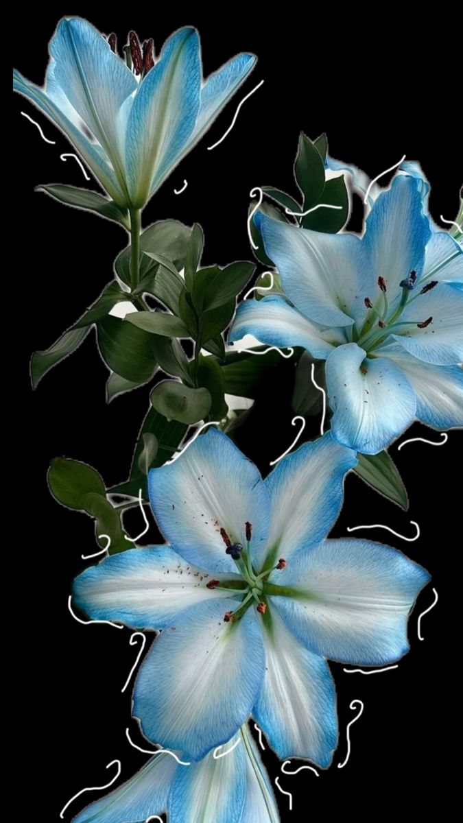 𝓦𝗈͟𝗇͟𝗒͟𝗈͟𝗎͟𝗇͟𝗀!✸ tweet media