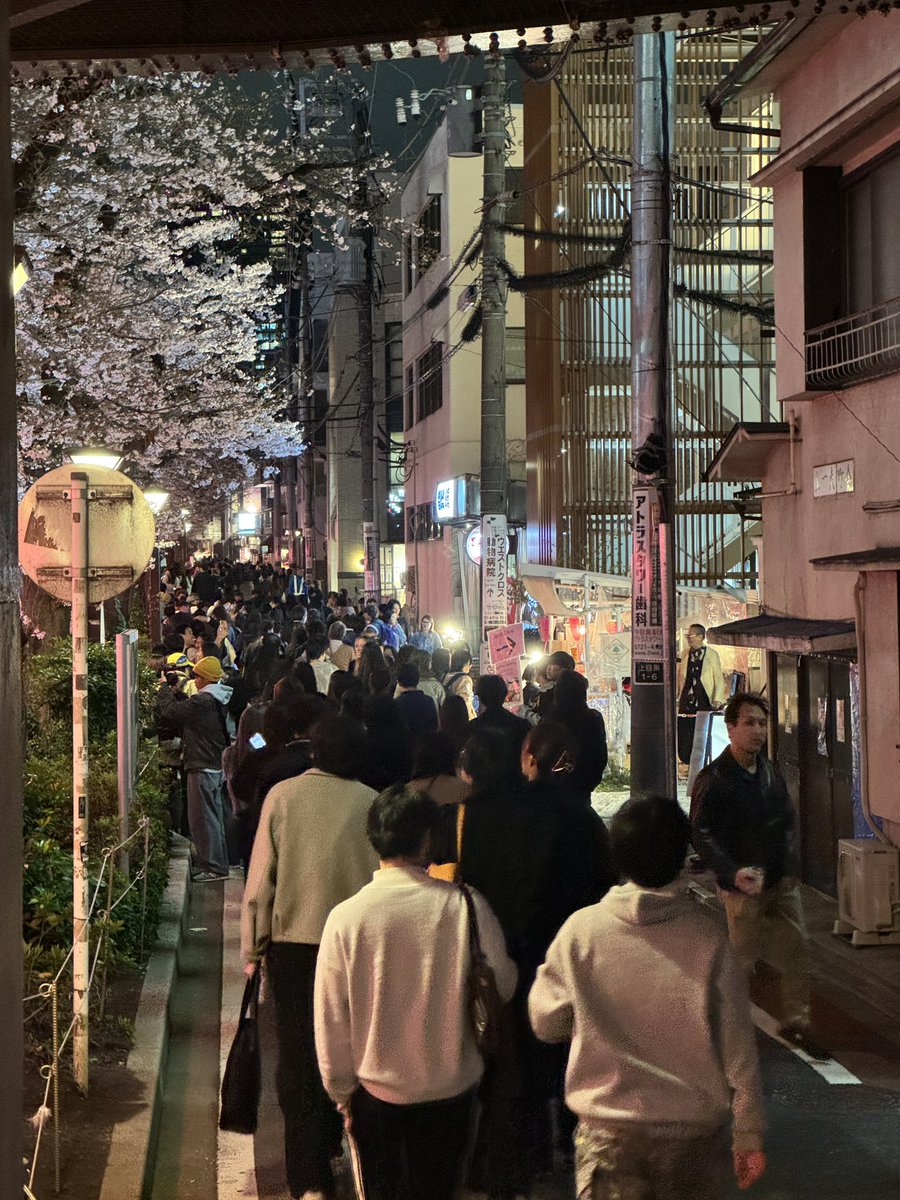 おのせ康裕 目黒区議会議員 tweet media