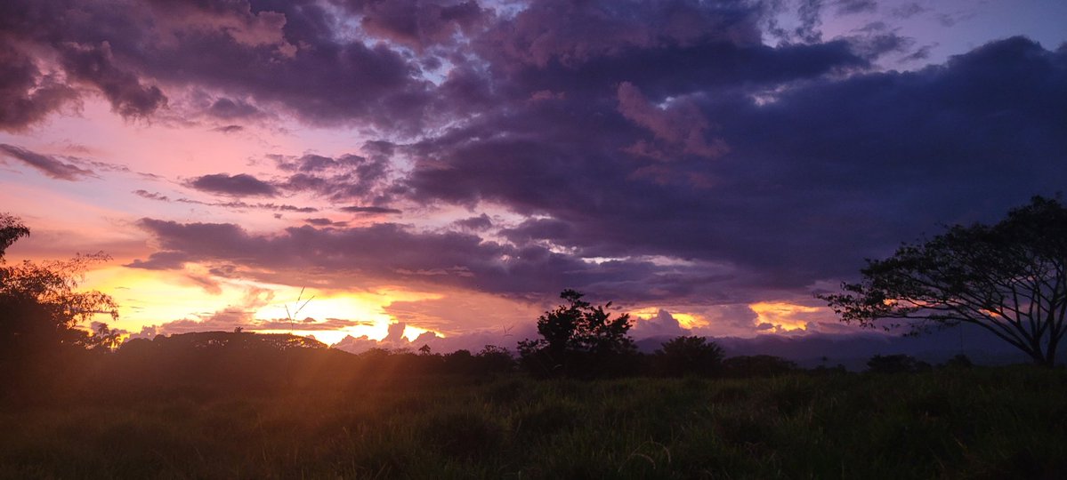 FAR〽️ER tweet media