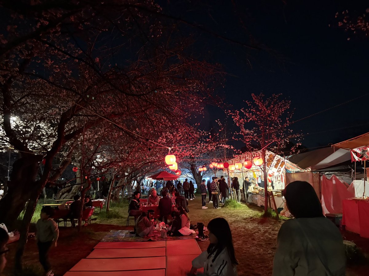 たむ@新規アカ tweet media