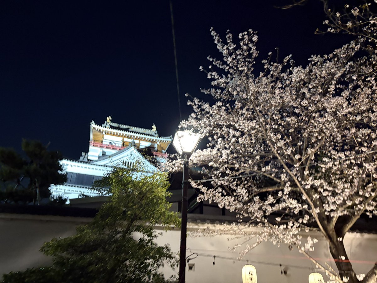 たむ@新規アカ tweet media