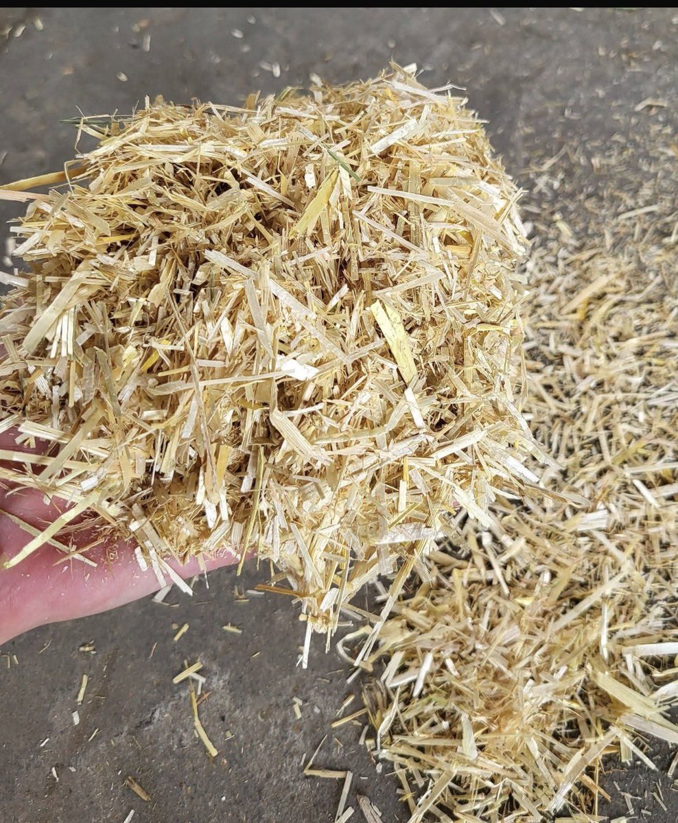 Stijn Derks tweet media