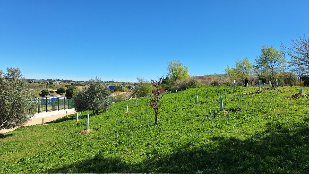 Asociación Vecinal Montecarmelo tweet media