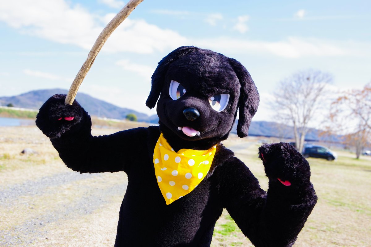 黒ラブのらぶ tweet media