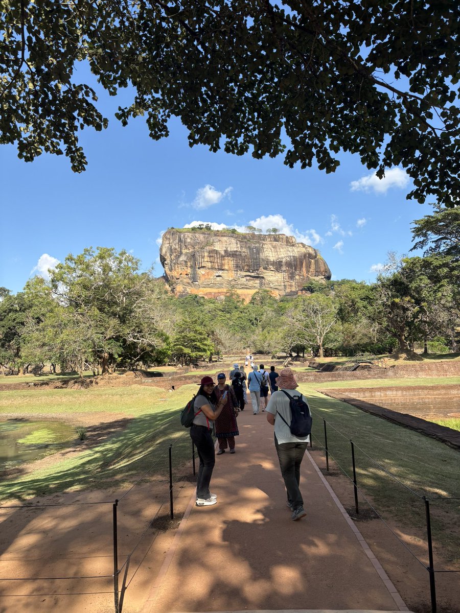 HSkywalker tweet media