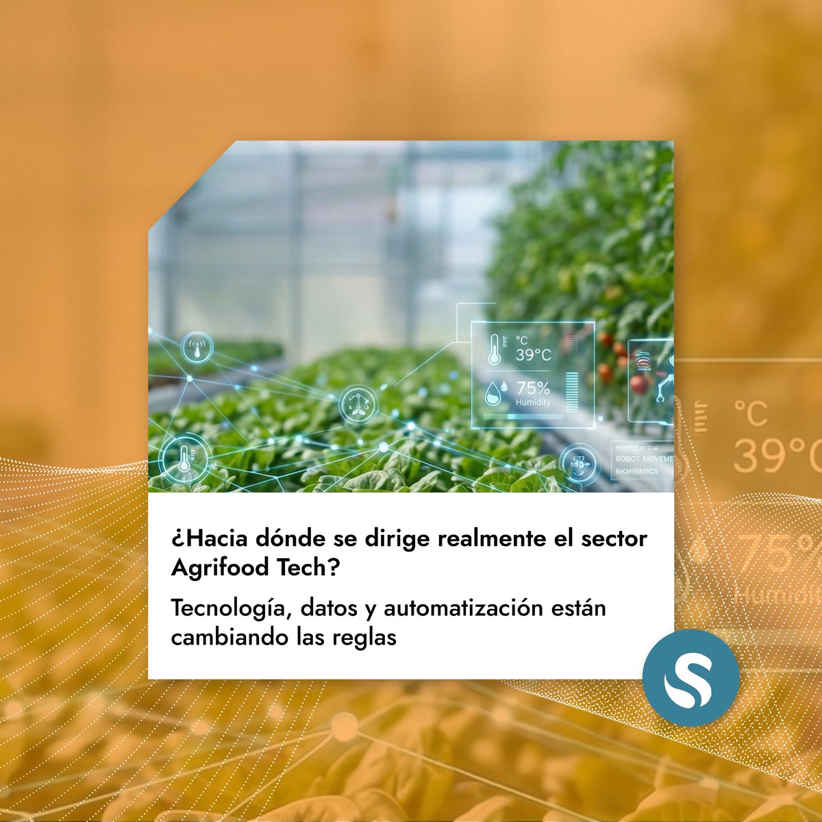 Swanlaab Venture Factory tweet media