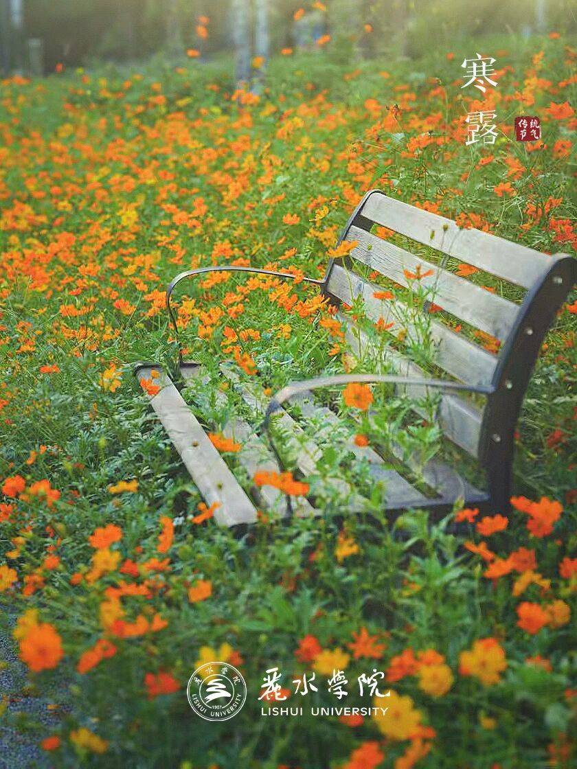 LearnerForLife tweet media