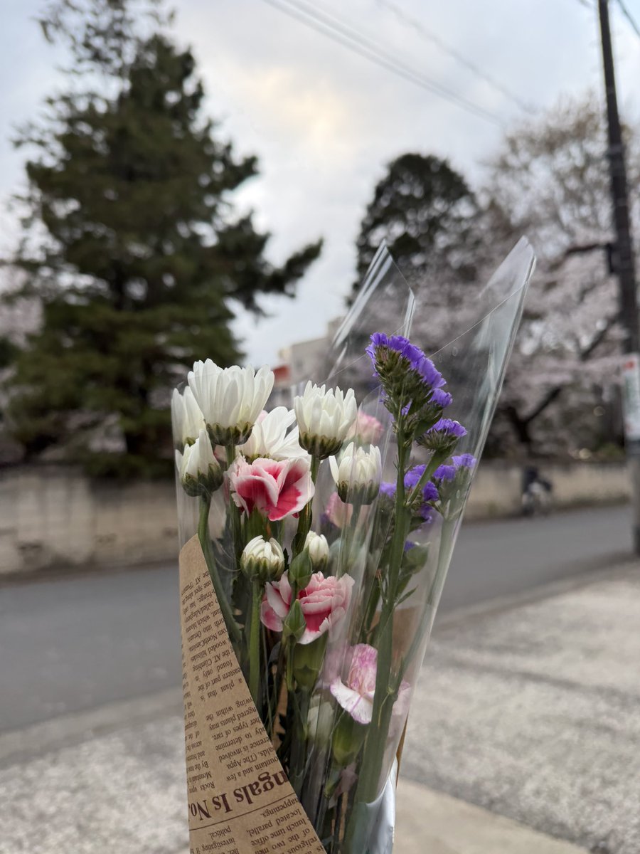 Mille Vasconcelos tweet media