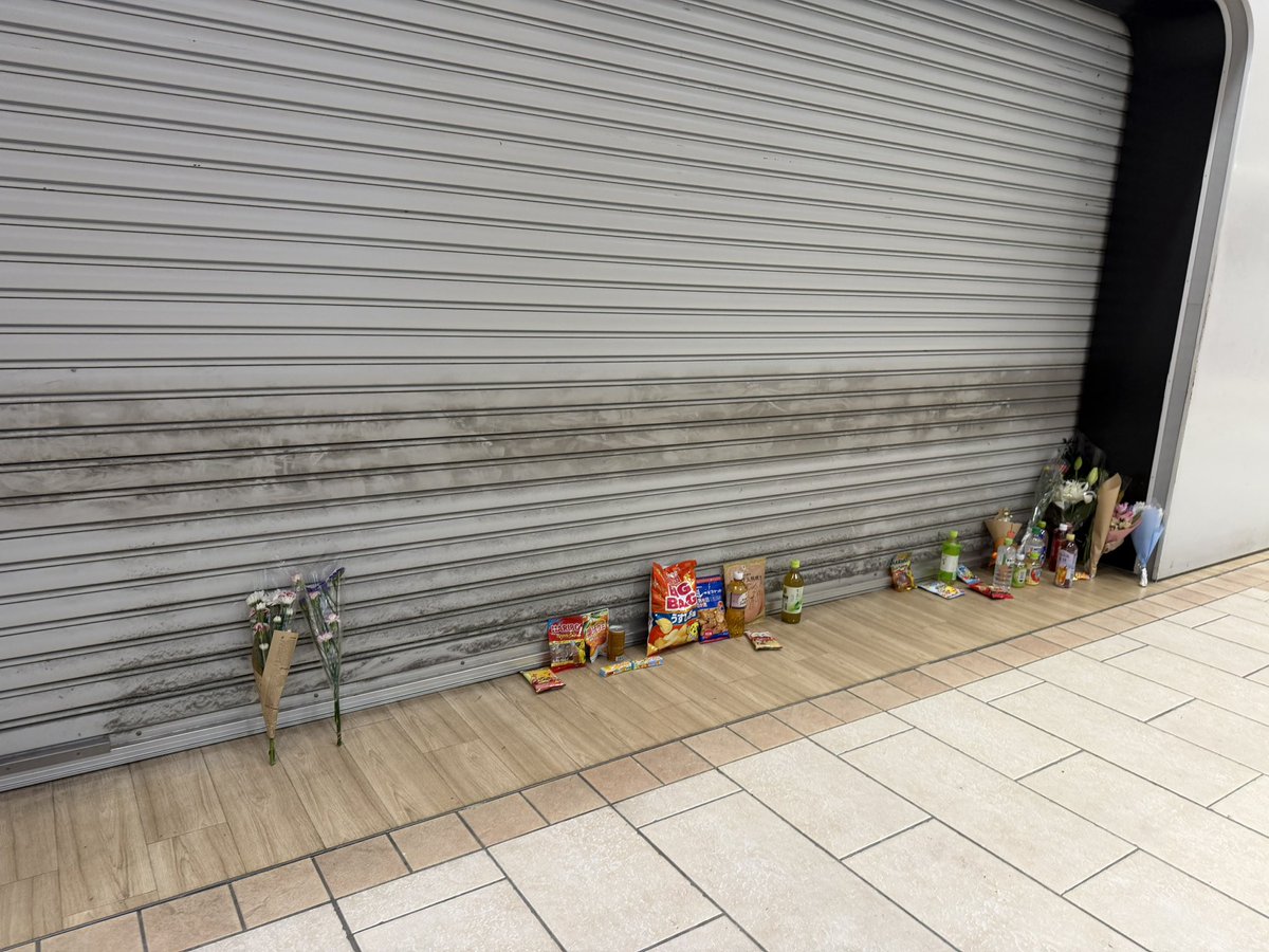 Mille Vasconcelos tweet media