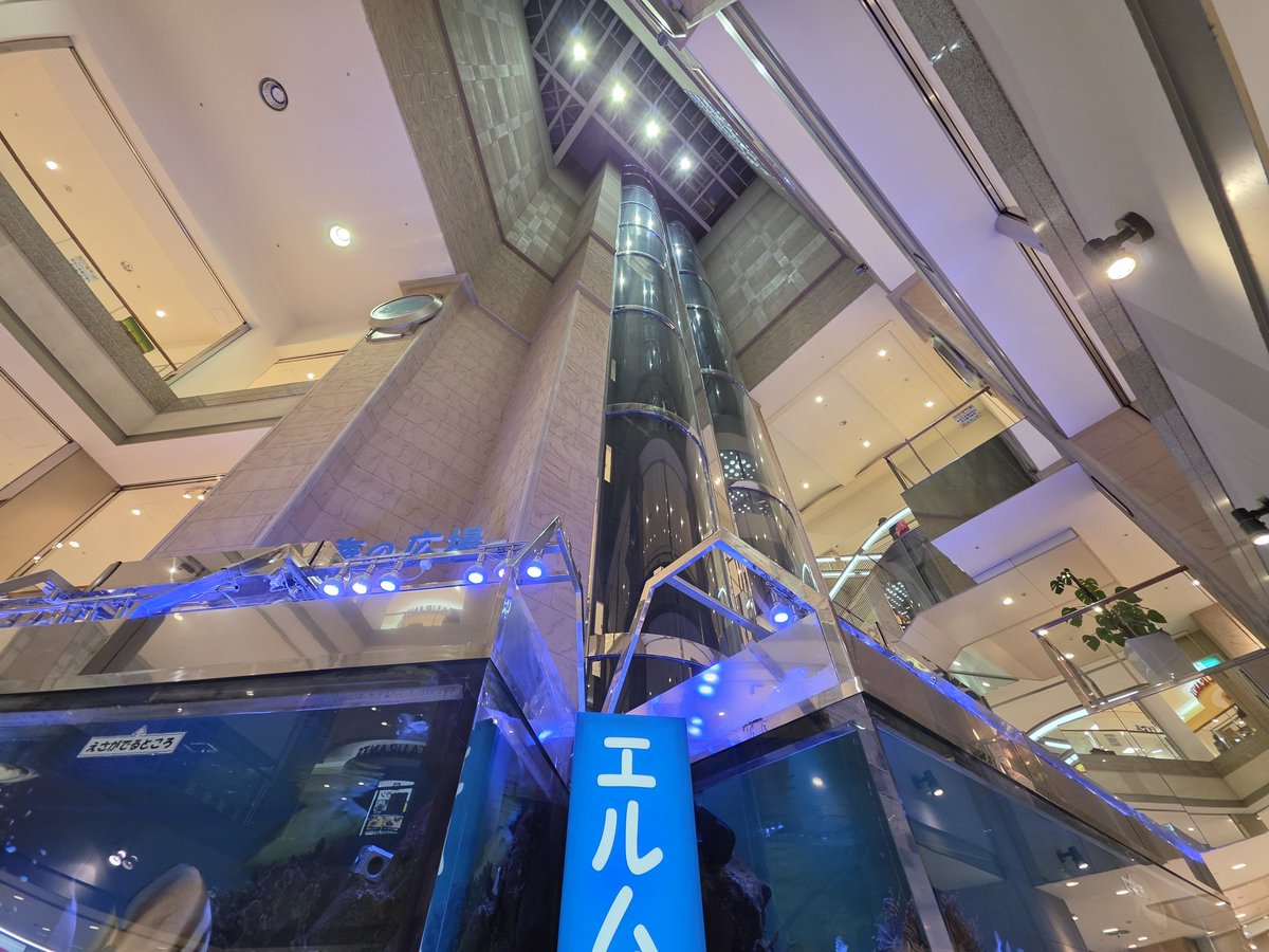 jabonex β-SIDE tweet media