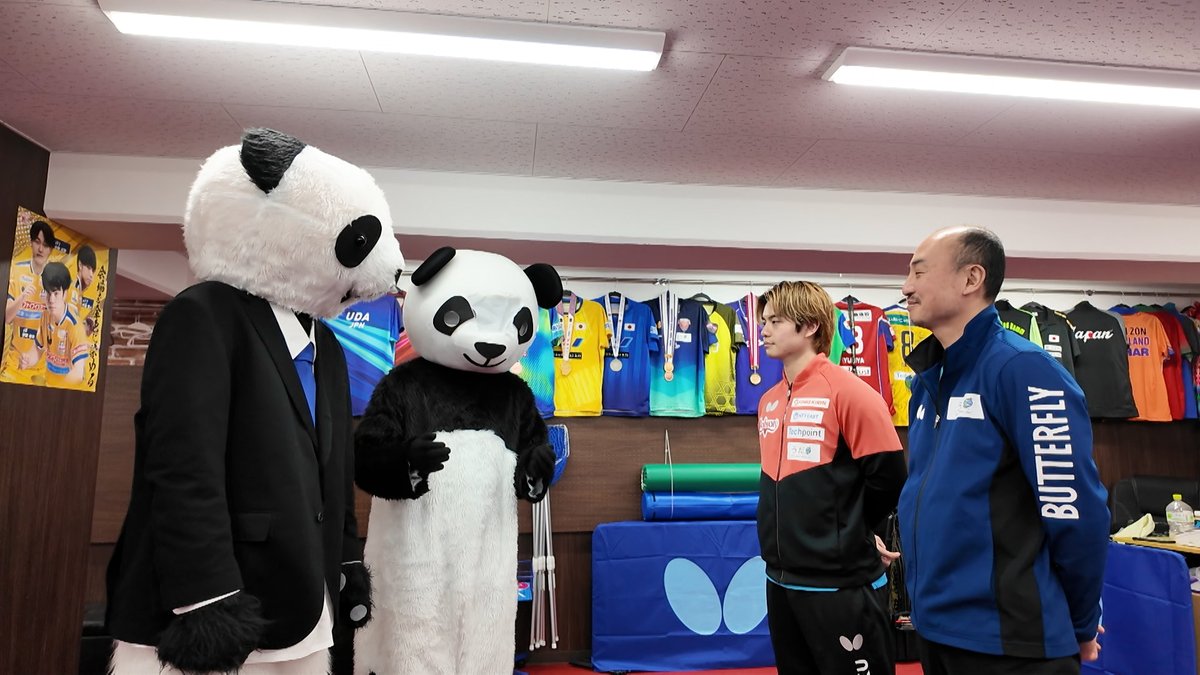 weponpanda's tweet photo. 明日のWEEKLY PING PONG NEWSは🏓  

世界卓球の代表に返り咲いた
#宇田幸矢 選手の父親が代表を務める
うだ卓にピンピンとポンポンが突撃！

宇田選手に世界卓球への意気込みを
聞いてきました🐼

テレ東系明日よる10時55分から放送です！  
#WEポン #テレ東卓球 https://t.co/WeK9AZkYi1