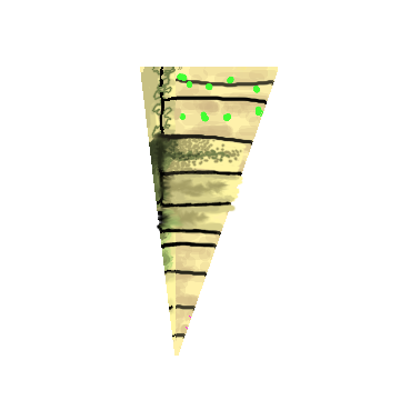 Bernie Schulenburg 🪐 tweet media