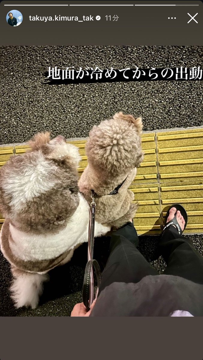 キムタクのインスタ、何言ってるかわからなくて怖い
と思ったら愛犬のために地面の温度測ってるだけだった