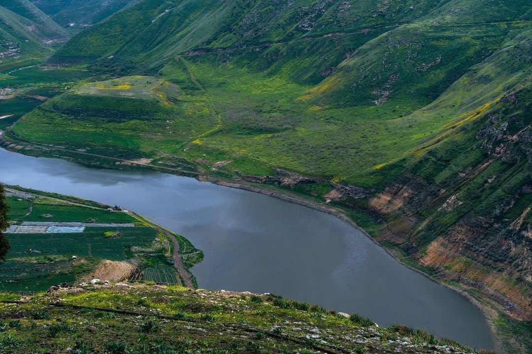 Omar Alhariri tweet media