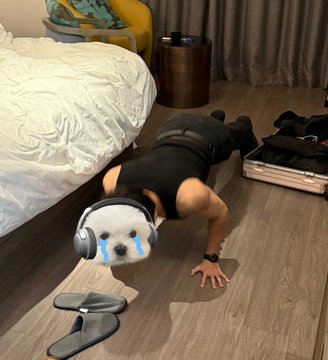 张佳宁 tweet media