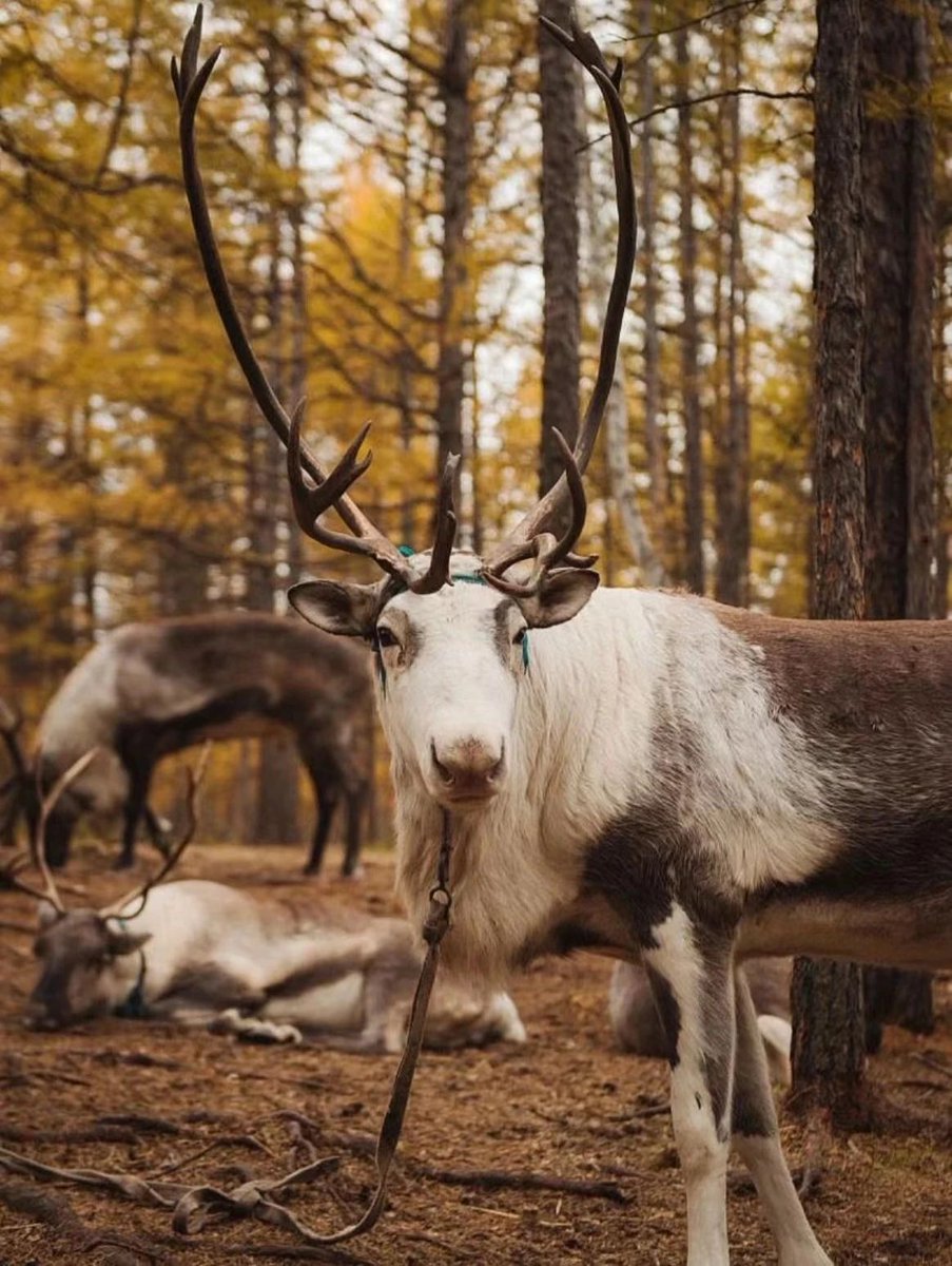 STEPHANIE MORRISON tweet media