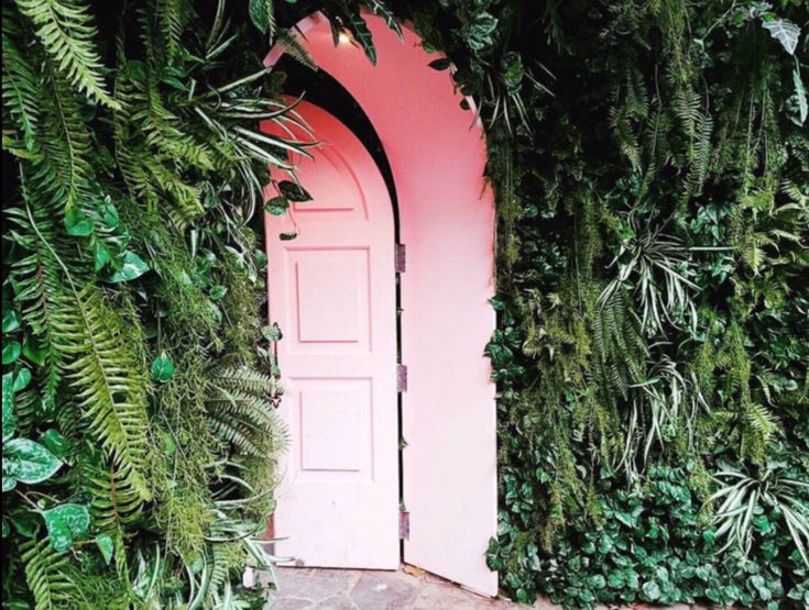 Blue⁴ |LALISA DAY tweet media