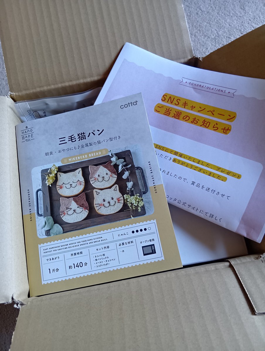 ベルーガ tweet media