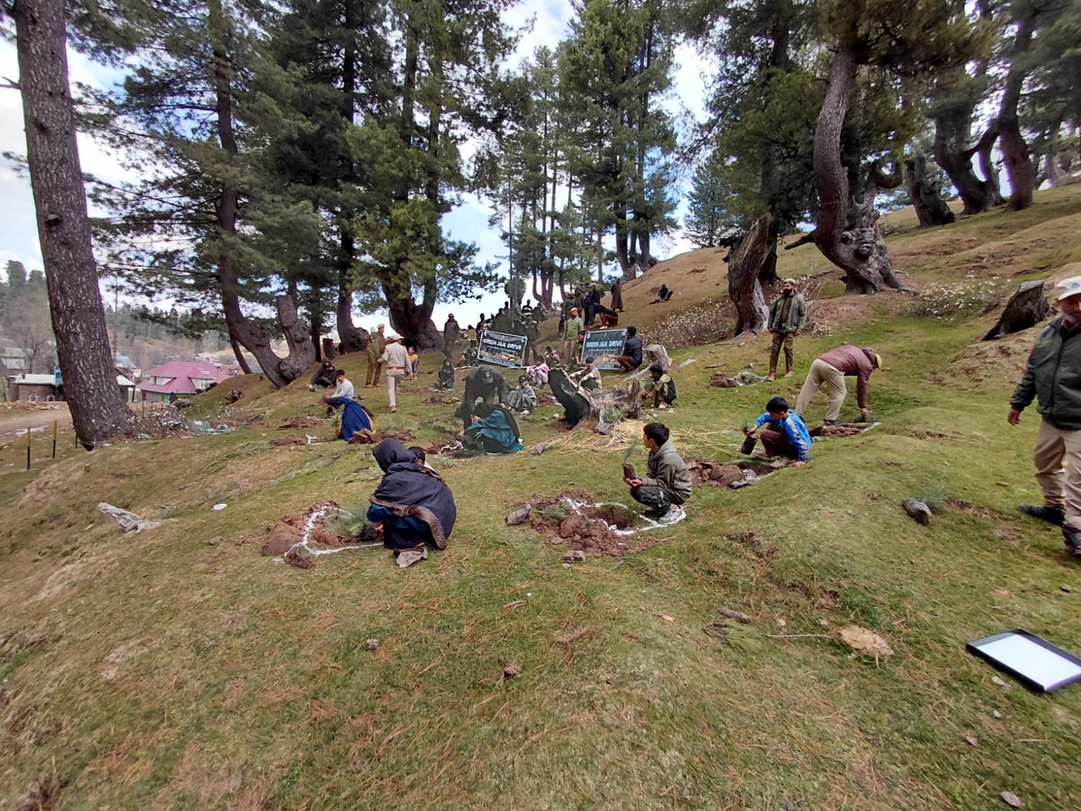 District Shopian Official tweet media