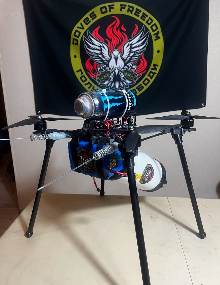 Doves Of Freedom tweet media