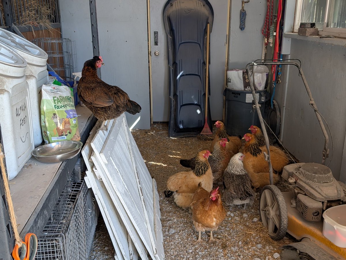 Chris Bohn tweet media