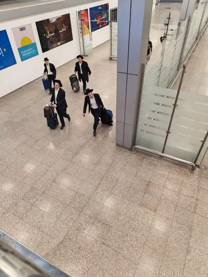 SW News - SOFT WAR NEWS tweet media