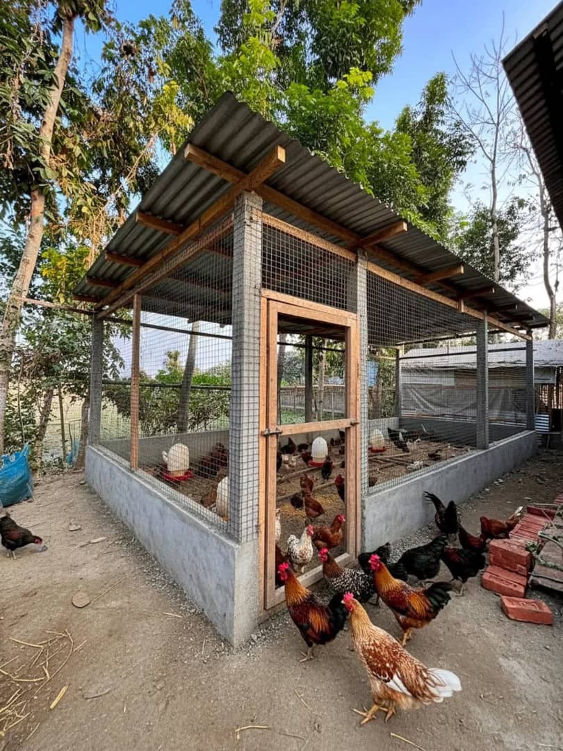 Dr. MKUMBO MAKUKU󰟱🐓🐔󰦉 tweet media