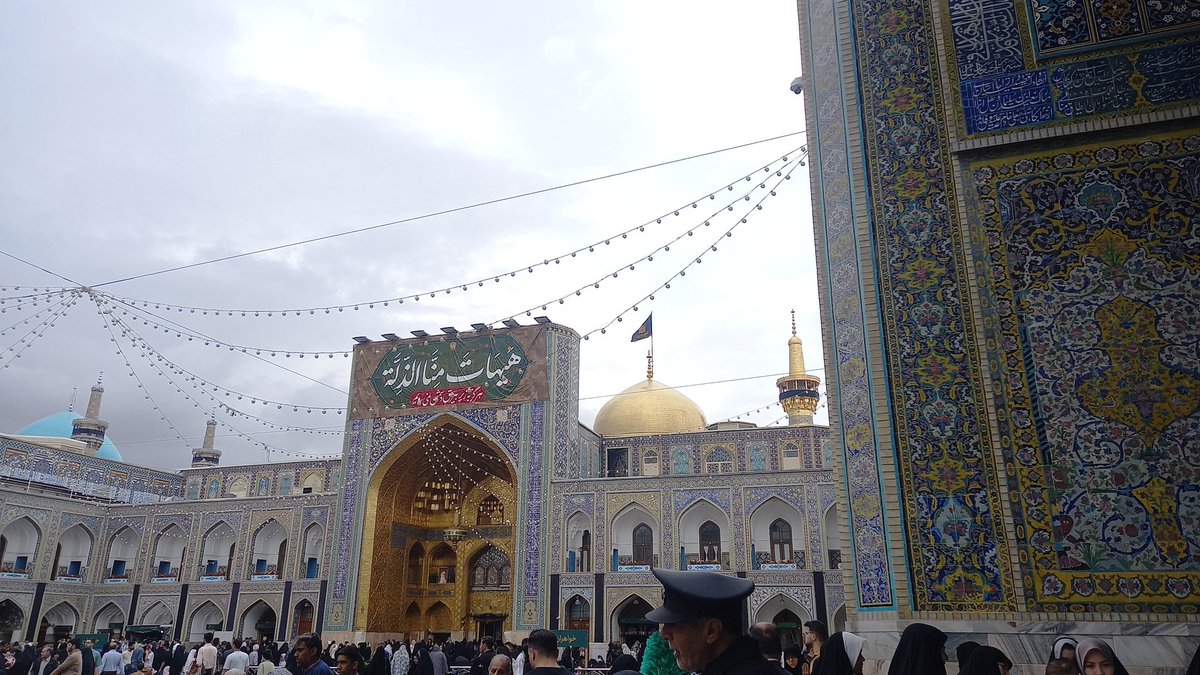 گل نرگس می آید... tweet media